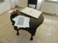 info-sud-est-muzeul-portului-constanta (10)