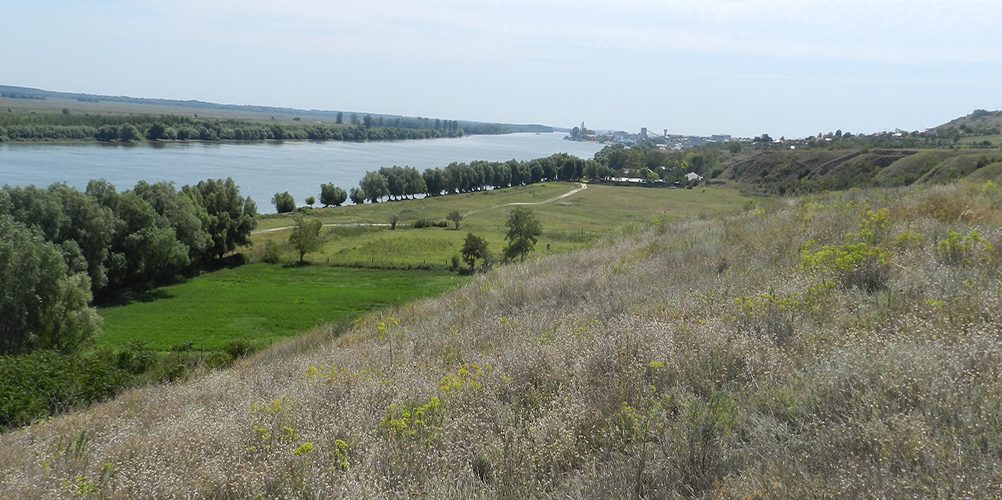 info-sud-est-mahmudia-salsovia