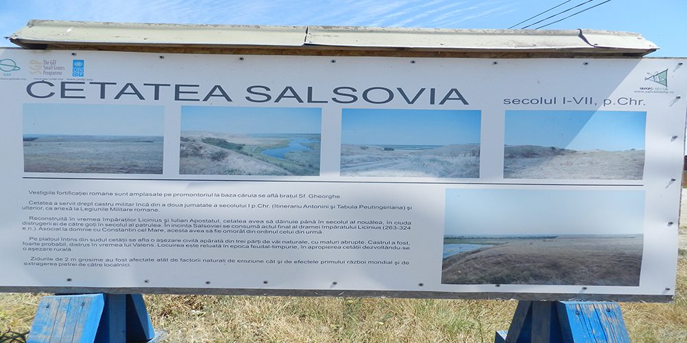 info-sud-est-mahmudia-salsovia-2