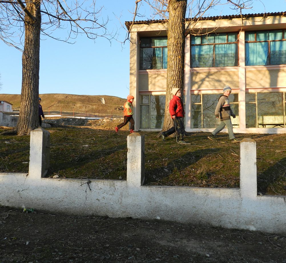 info-sud-est-altin-tepe-1