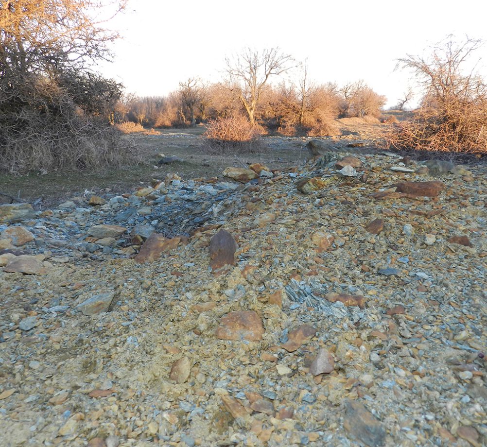 info-sud-est-altin-tepe-4