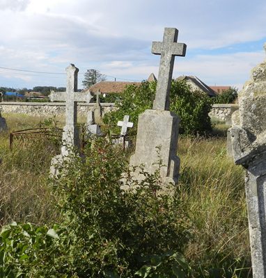 info-sud-est-germani-mihail-kogalniceanu-1