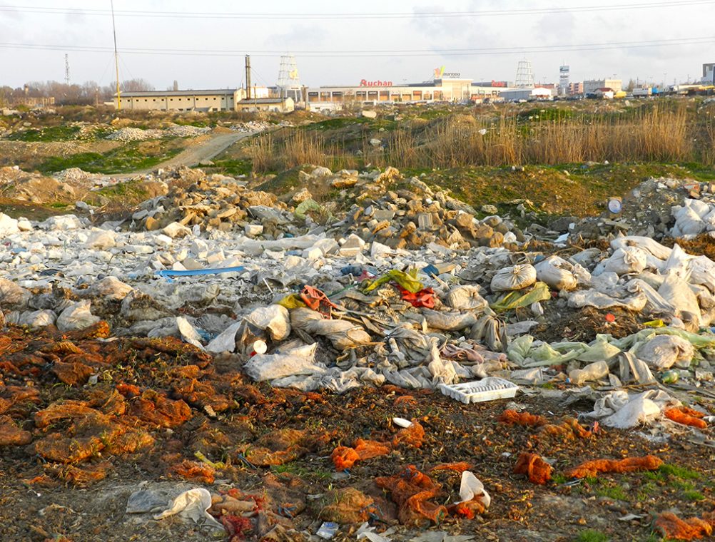 info-sud-est-gunoaie-6