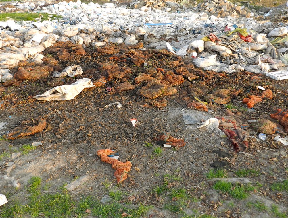 info-sud-est-gunoaie-7