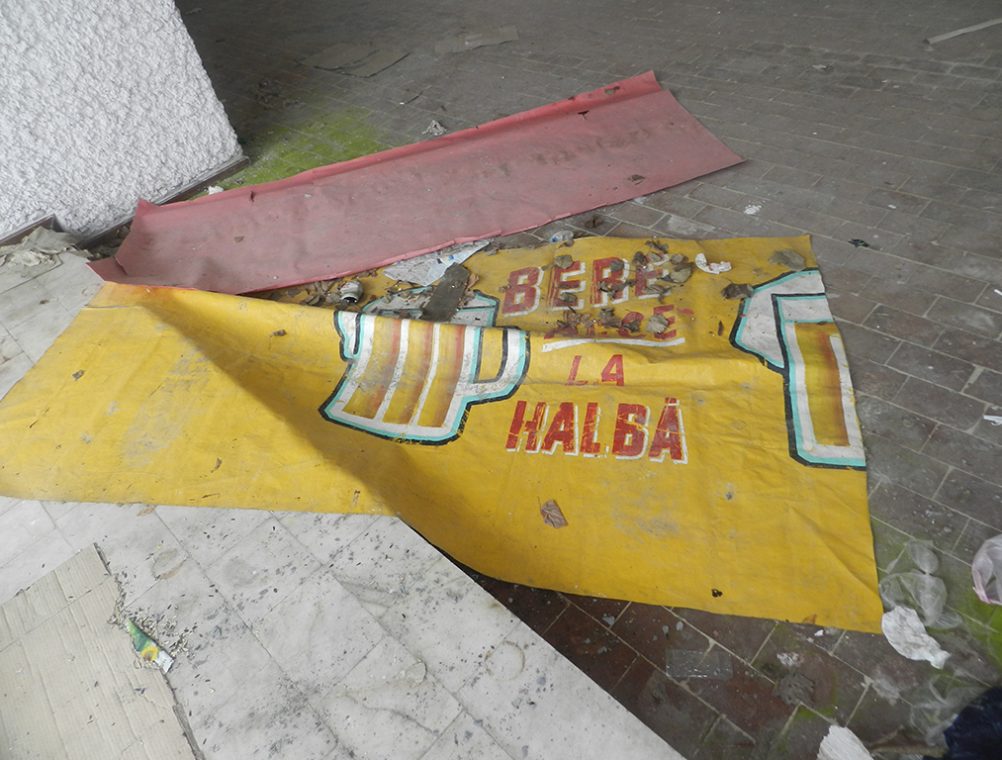 info-sud-est-galerii-arta11