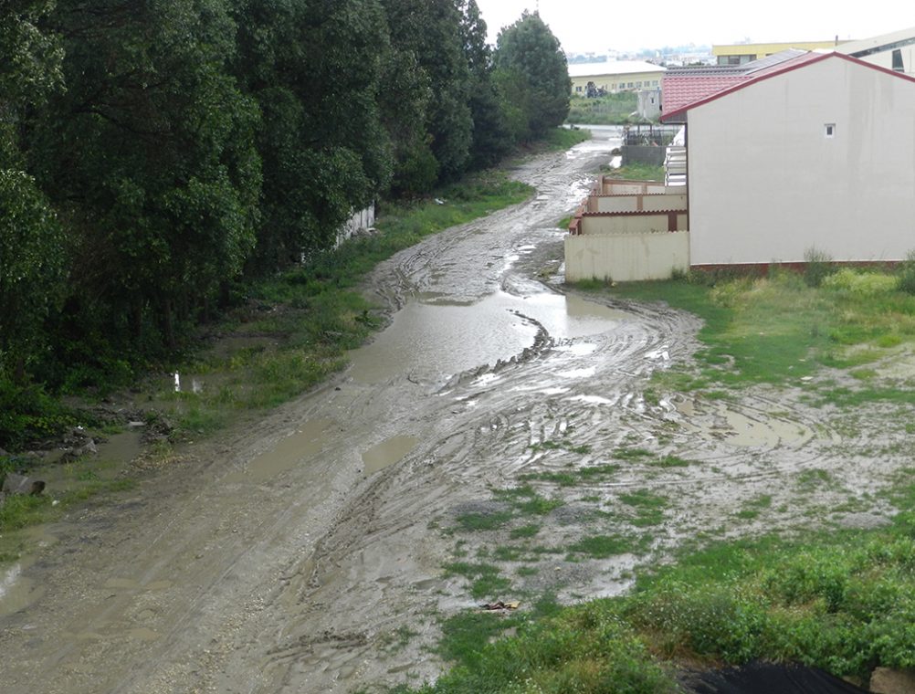 info-sud-est-compozitori