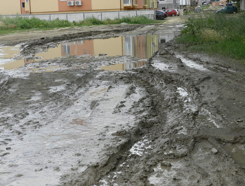 info-sud-est-compozitori2