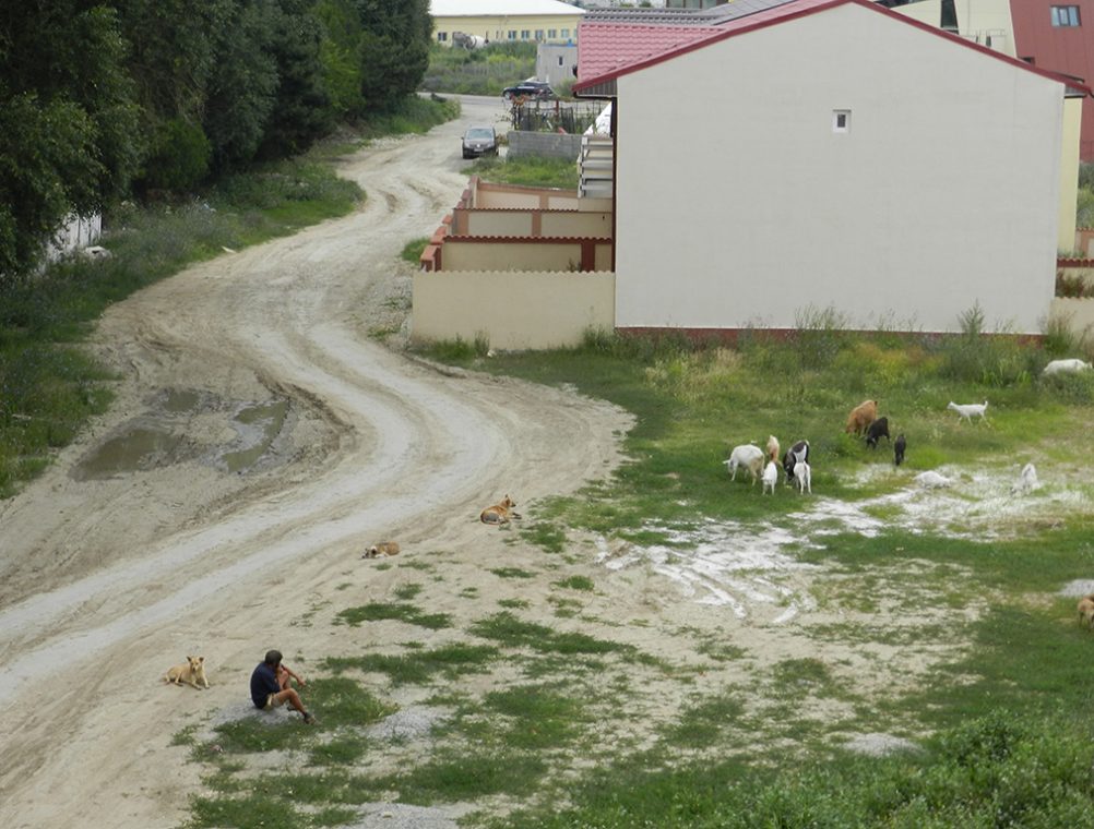 info-sud-est-compozitori3