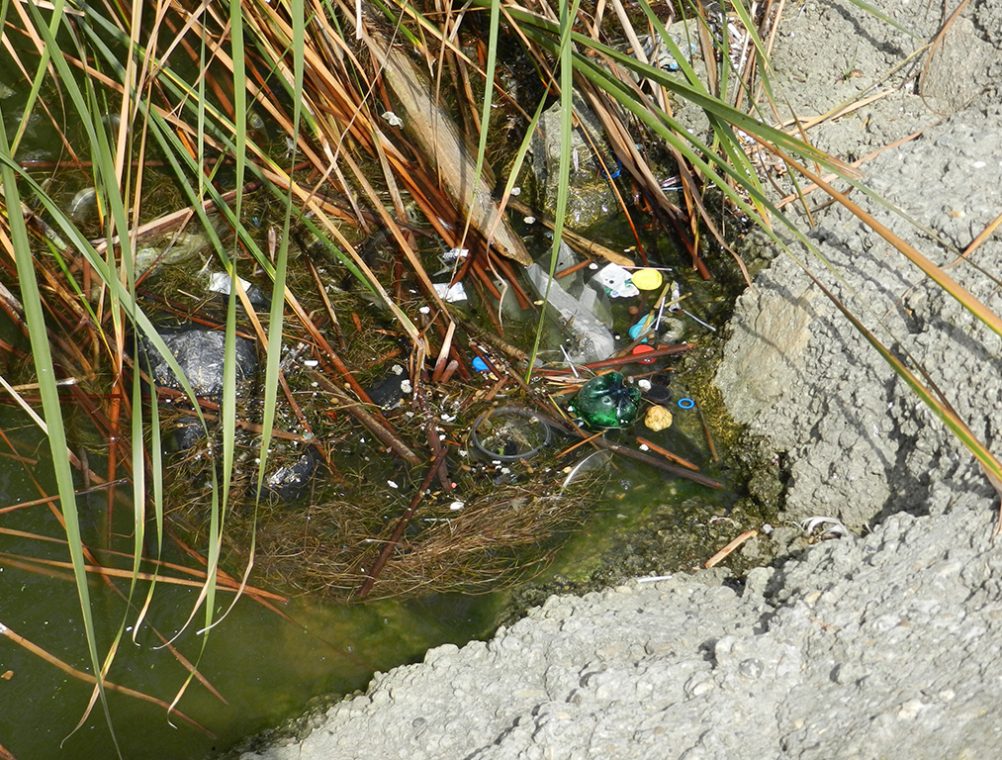 info-sud-est-lacul-tabacariei