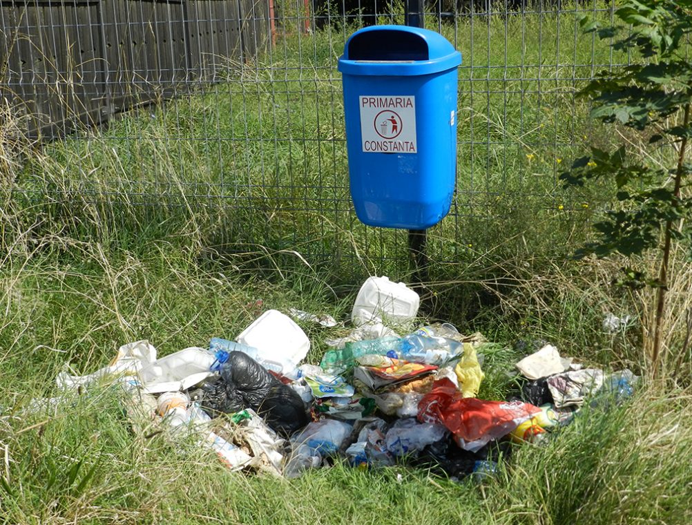 info-sud-est-lacul-tabacariei1