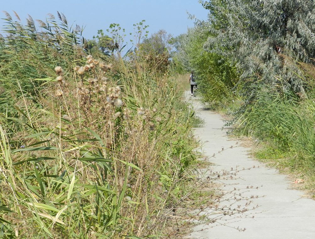 info-sud-est-lacul-tabacariei10