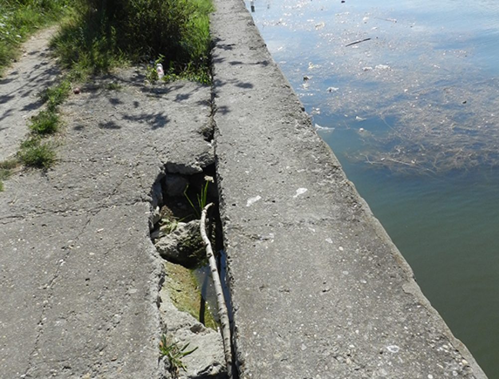 info-sud-est-lacul-tabacariei11