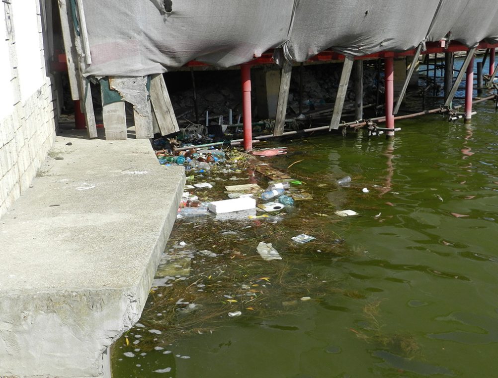 info-sud-est-lacul-tabacariei15