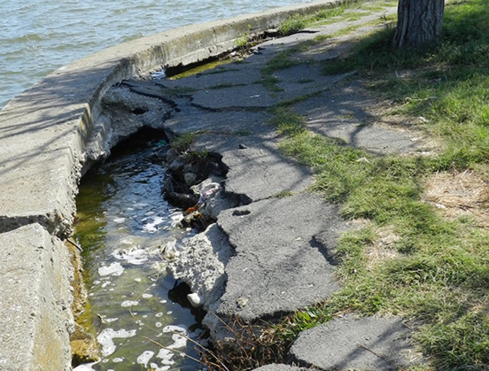 info-sud-est-lacul-tabacariei16