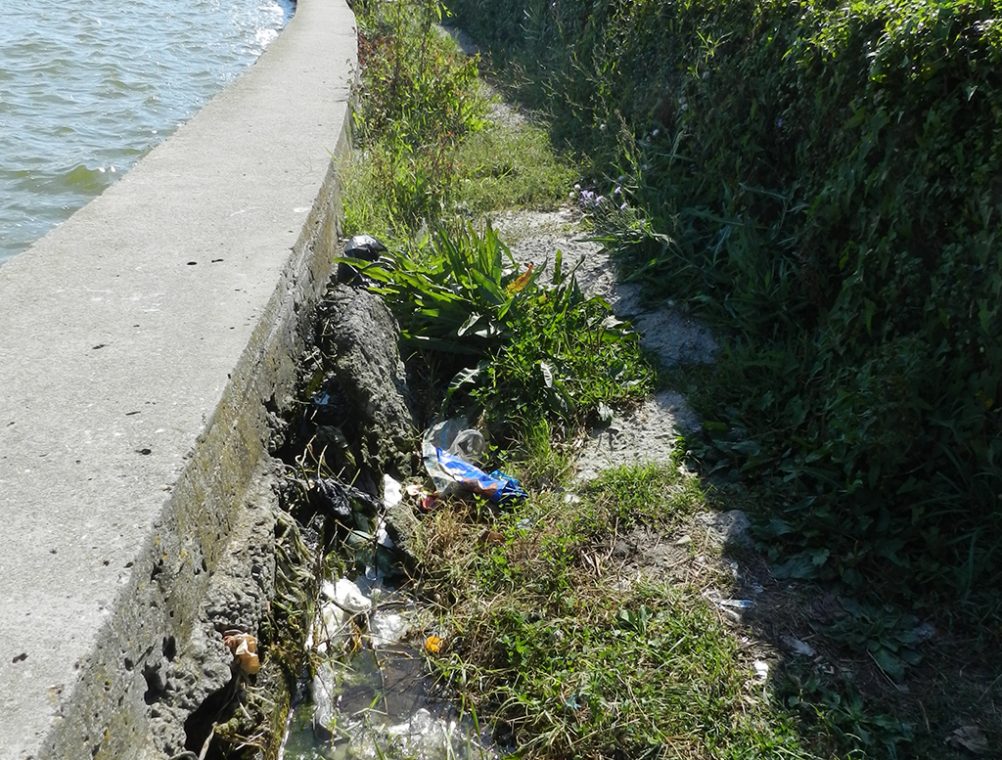 info-sud-est-lacul-tabacariei17