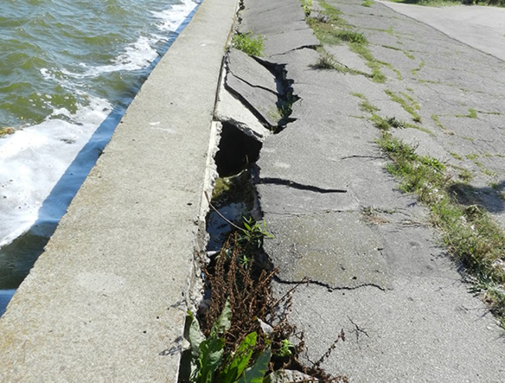 info-sud-est-lacul-tabacariei20