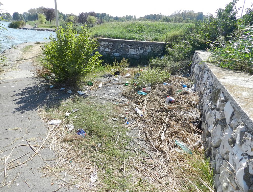 info-sud-est-lacul-tabacariei23