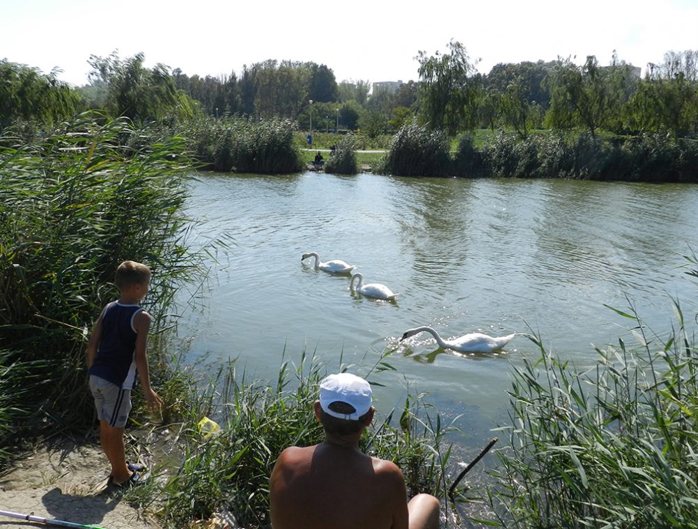 info-sud-est-lacul-tabacariei24