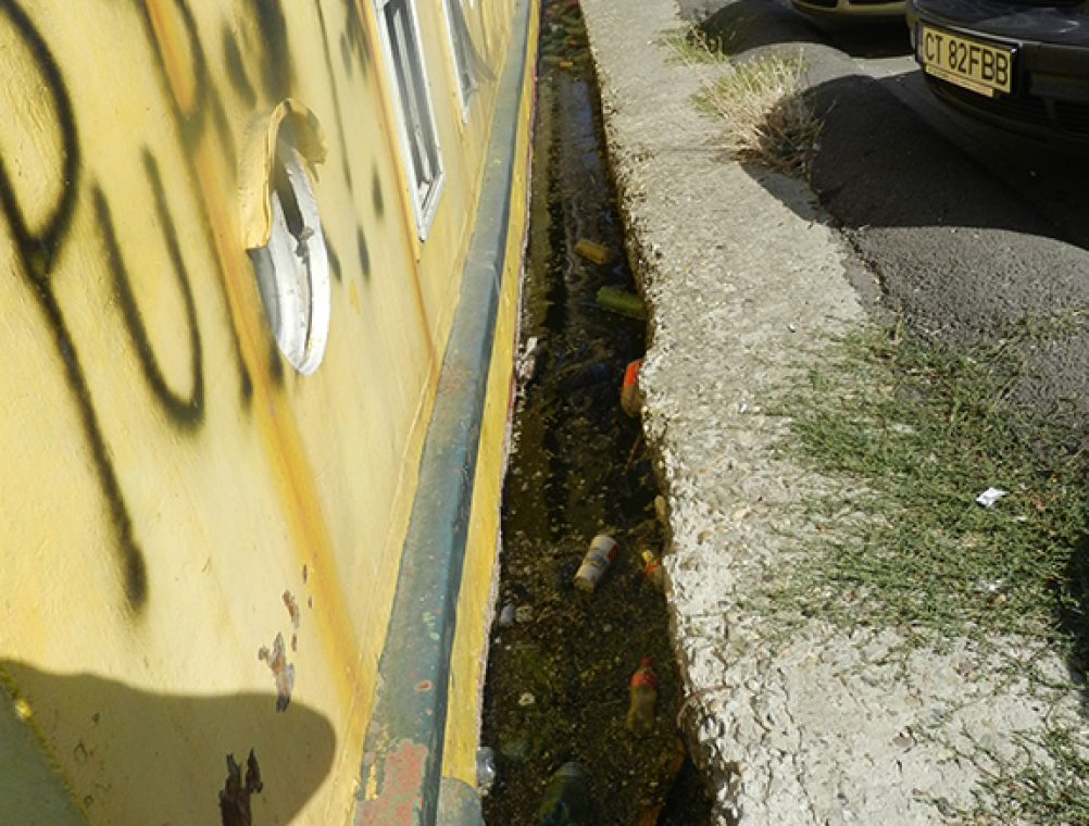 info-sud-est-lacul-tabacariei30