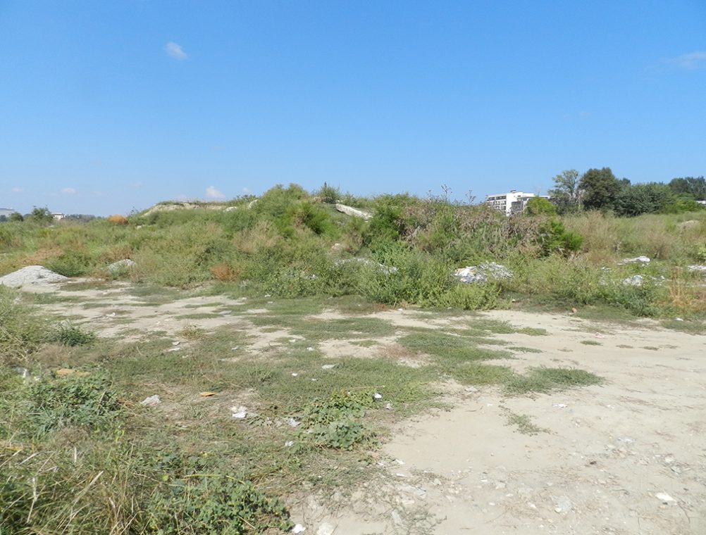 info-sud-est-lacul-tabacariei5