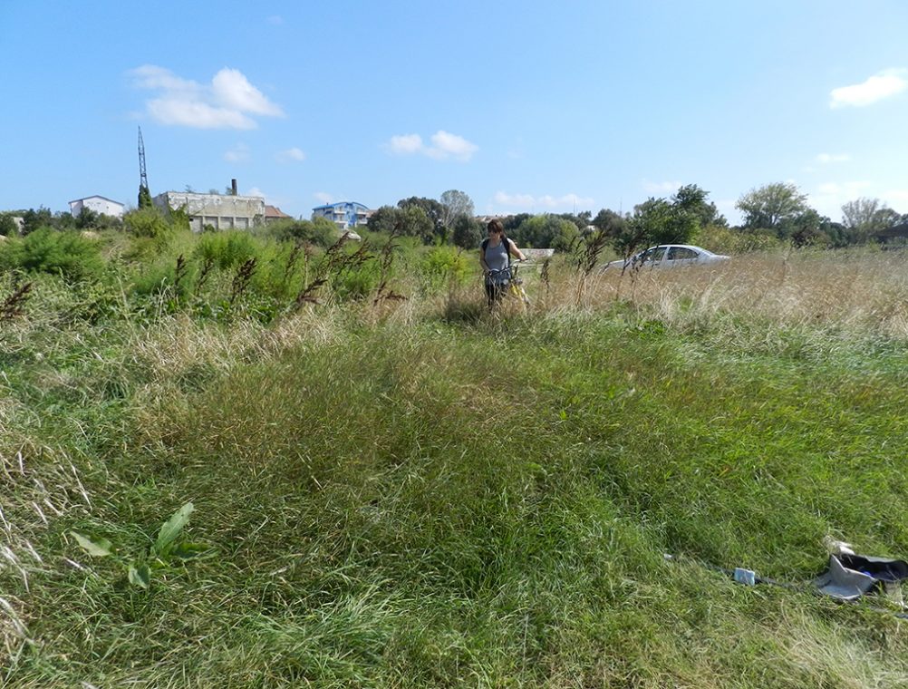 info-sud-est-lacul-tabacariei6