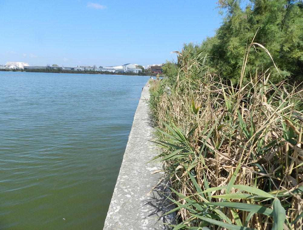 info-sud-est-lacul-tabacariei7