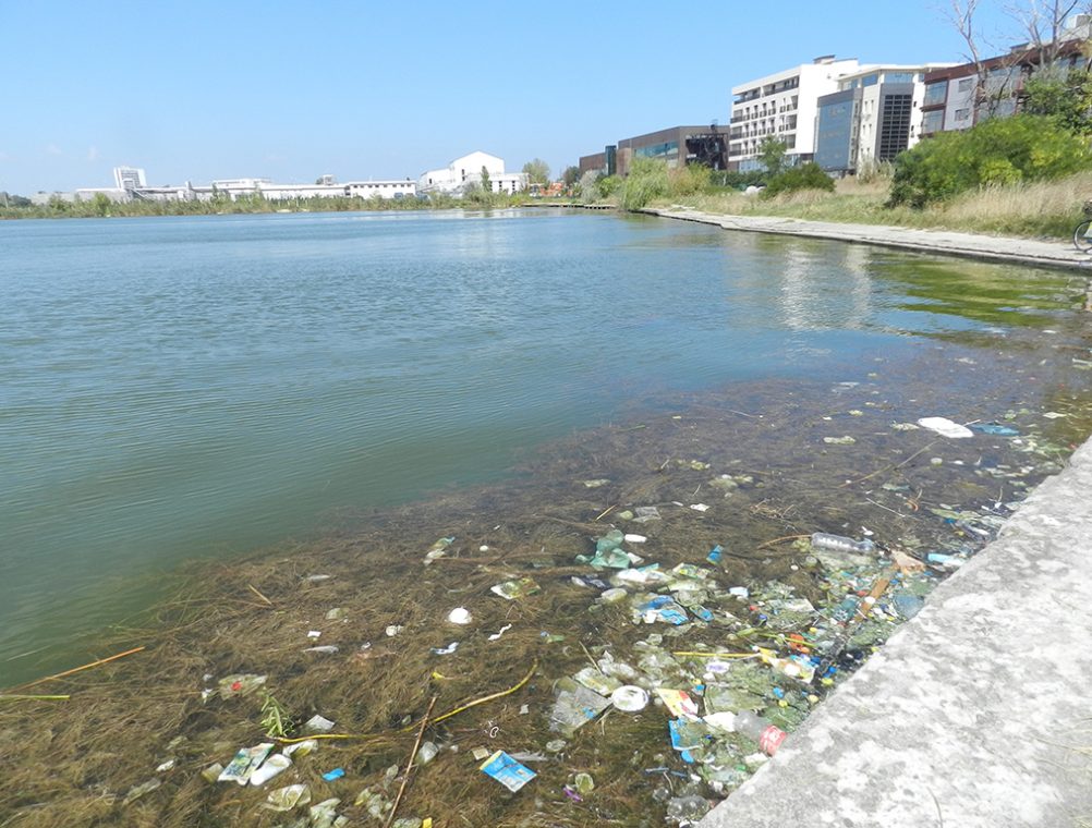 info-sud-est-lacul-tabacariei8