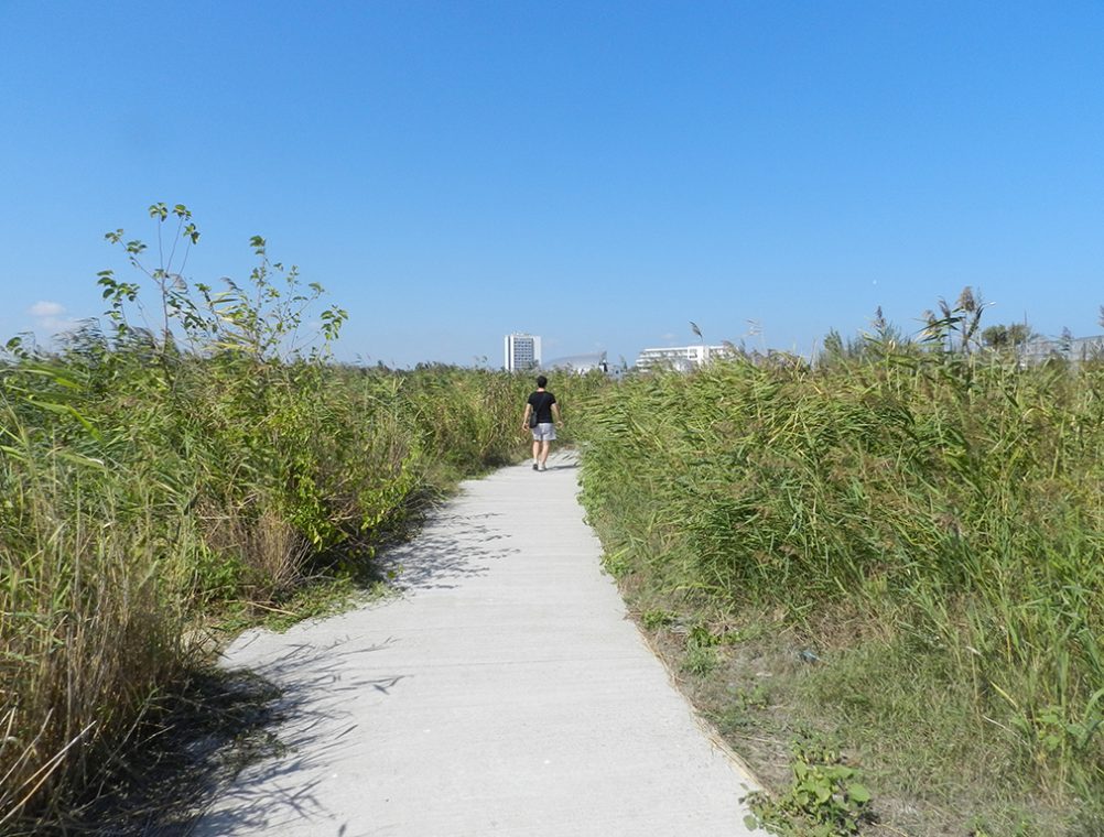 info-sud-est-lacul-tabacariei9