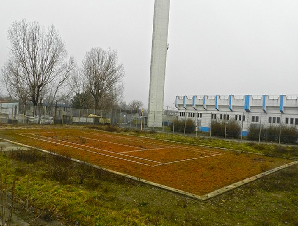 DSCN9889