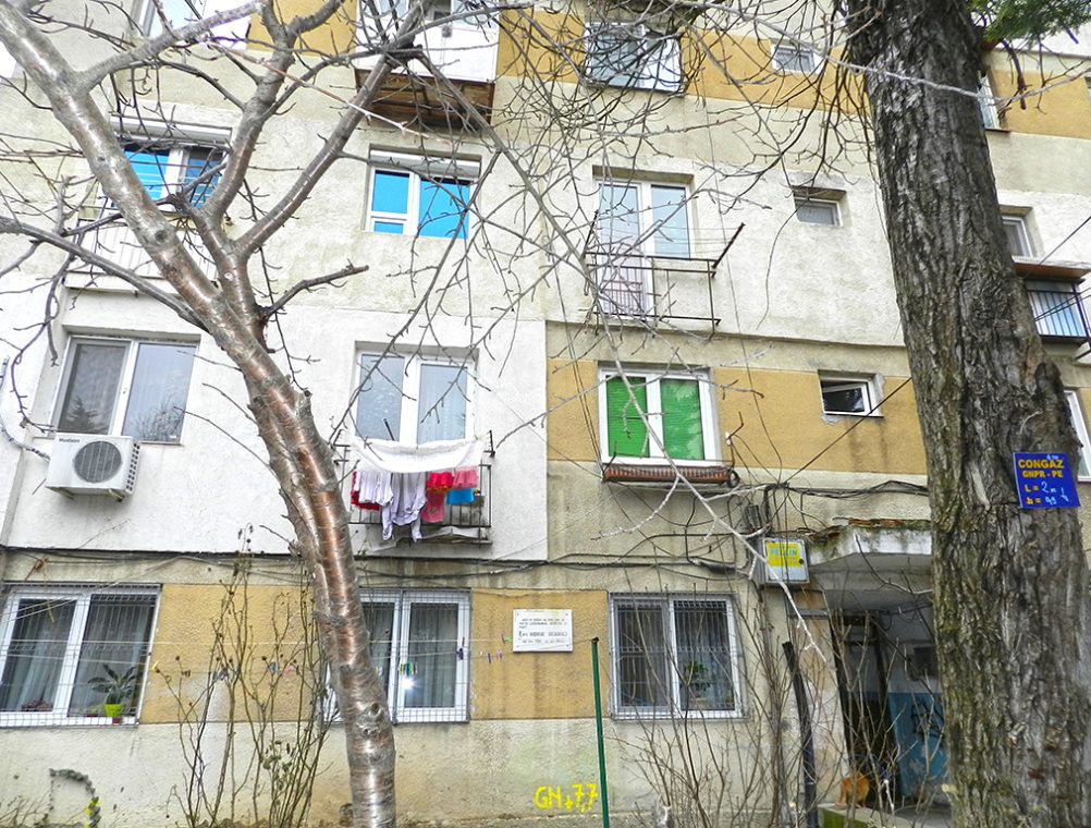 info-sud-est-horia-agarici14