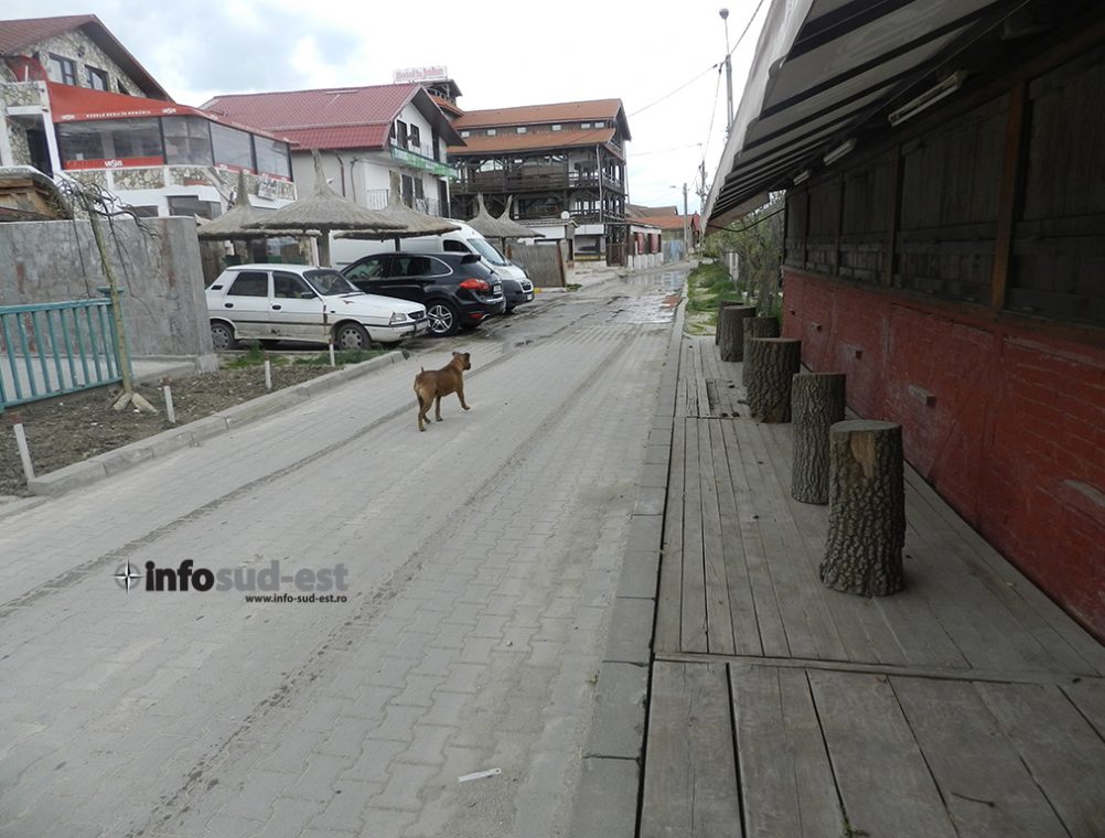 info-sud-est-litoral24