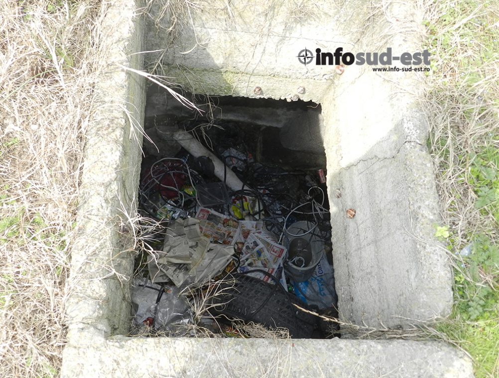 info-sud-est-mozaic1