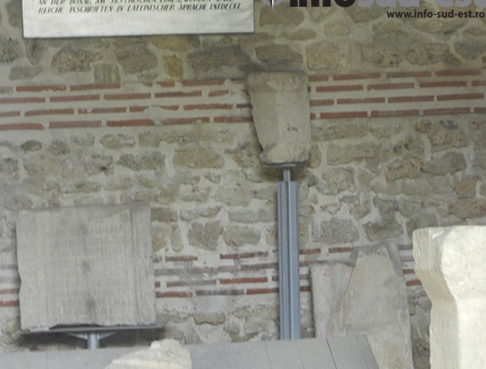 info-sud-est-mozaic12