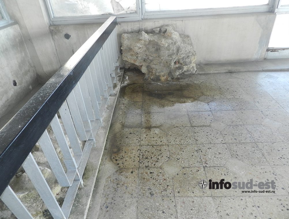 info-sud-est-mozaic19