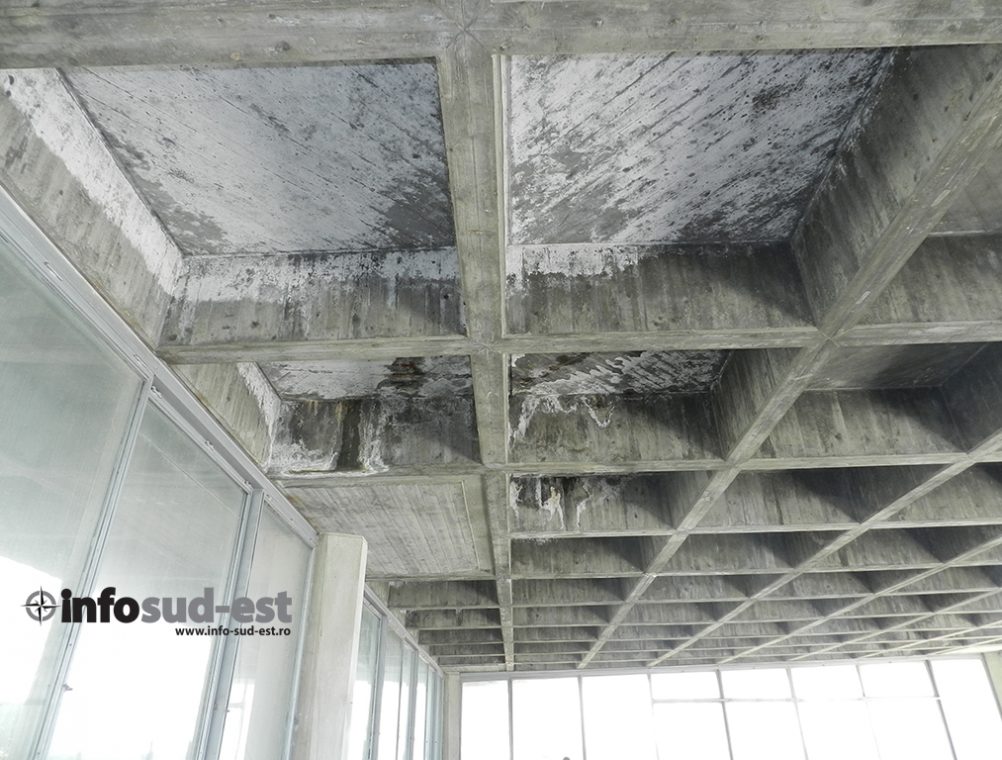 info-sud-est-mozaic20