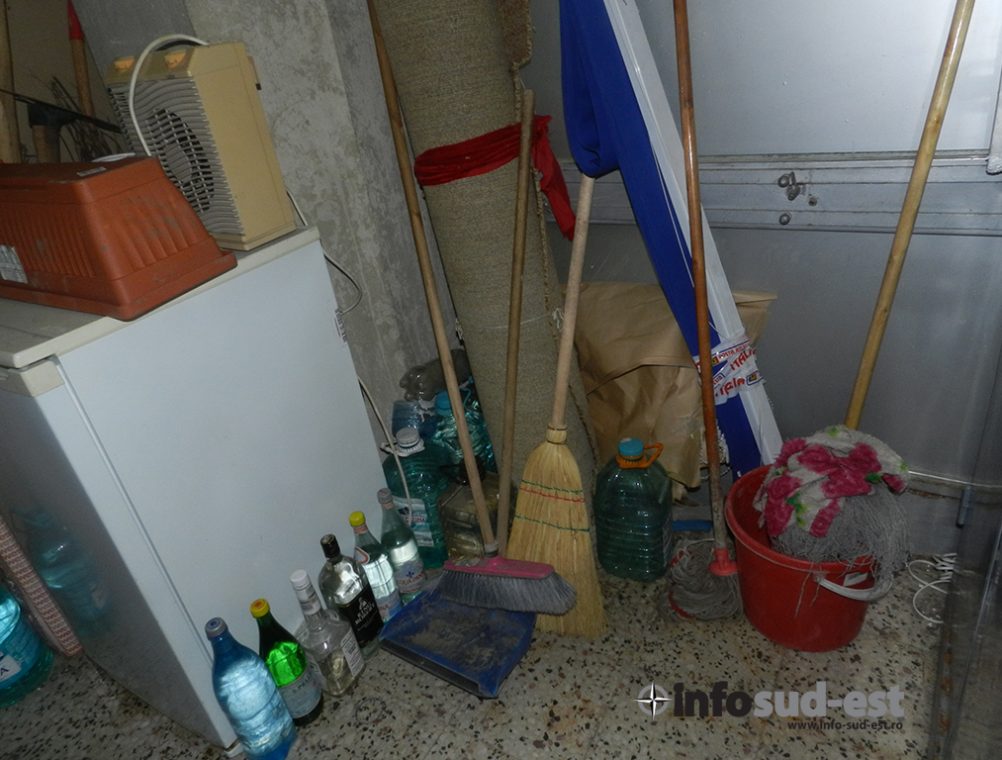 info-sud-est-mozaic21