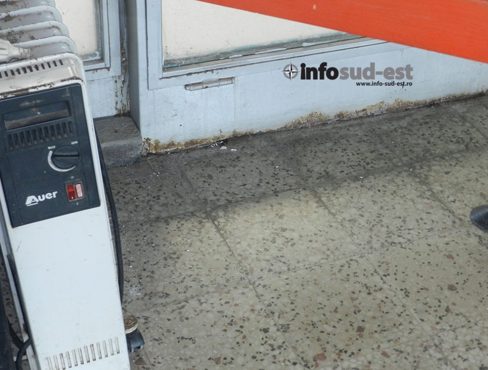 info-sud-est-mozaic22