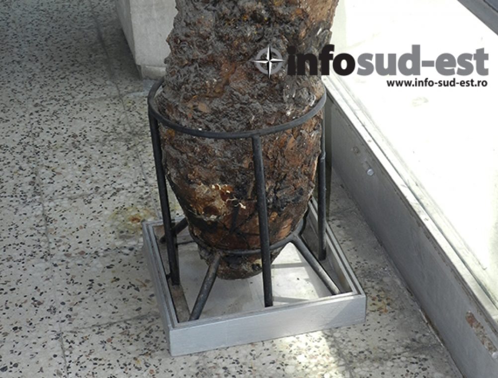 info-sud-est-mozaic24