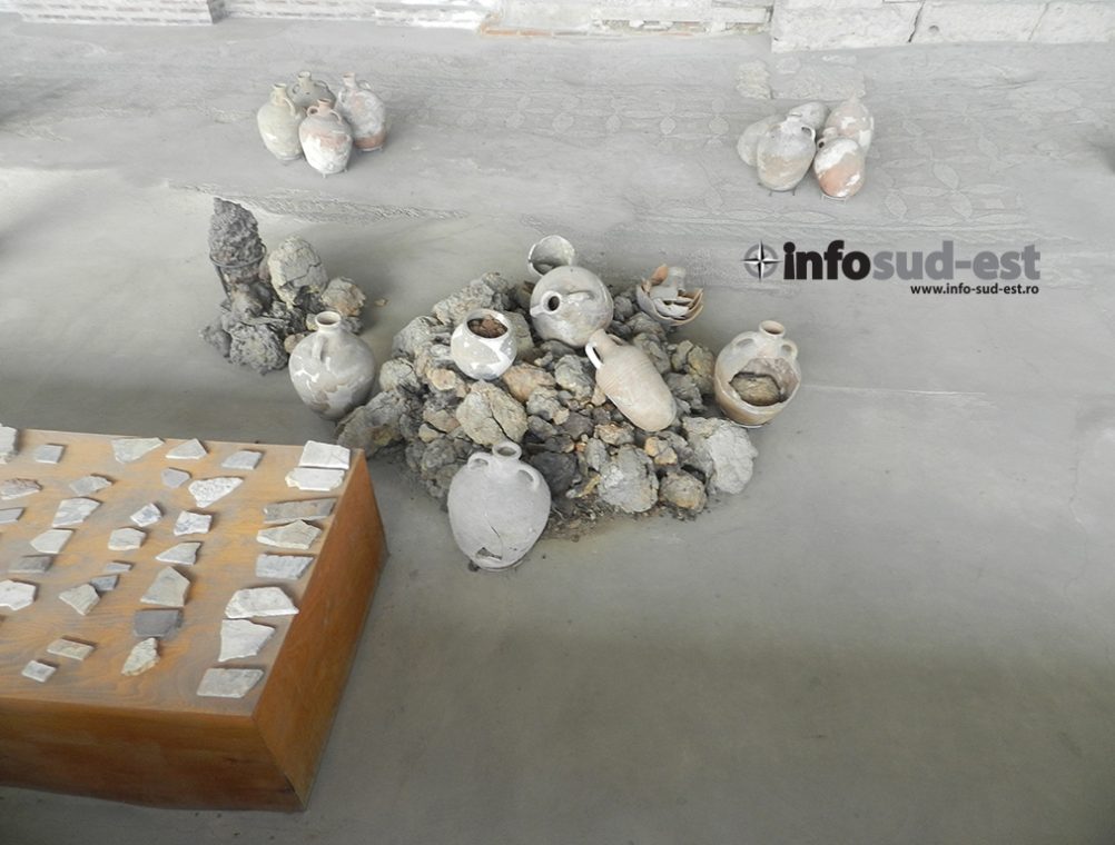 info-sud-est-mozaic29