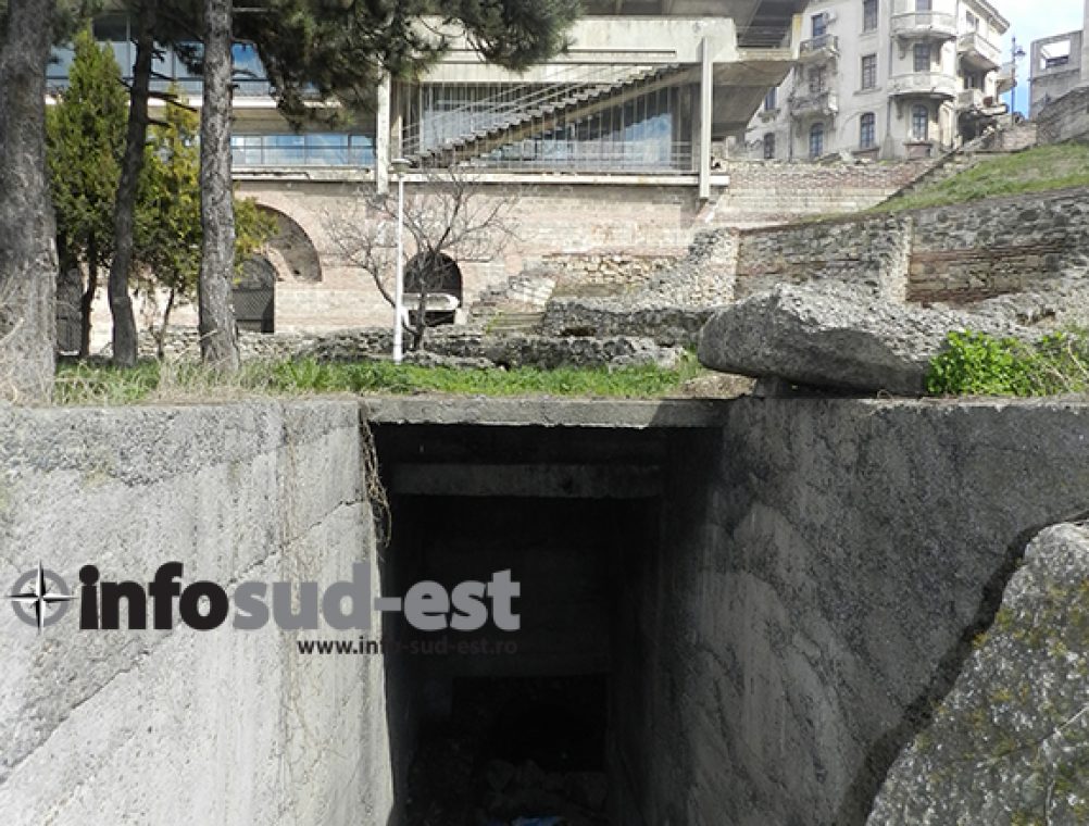 info-sud-est-mozaic7