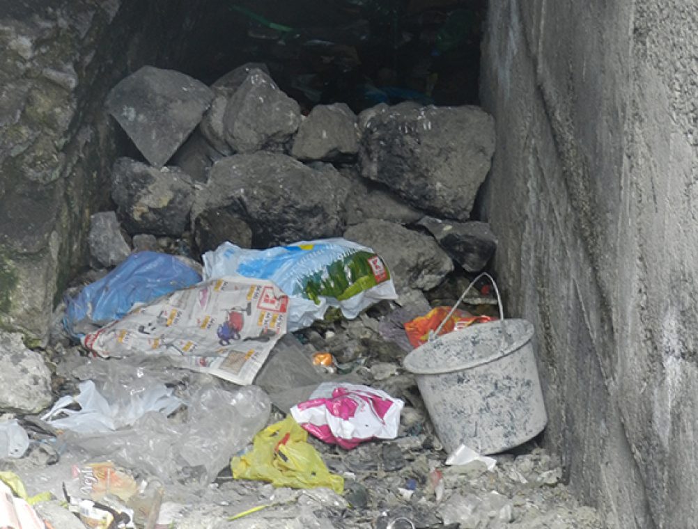 info-sud-est-mozaic8