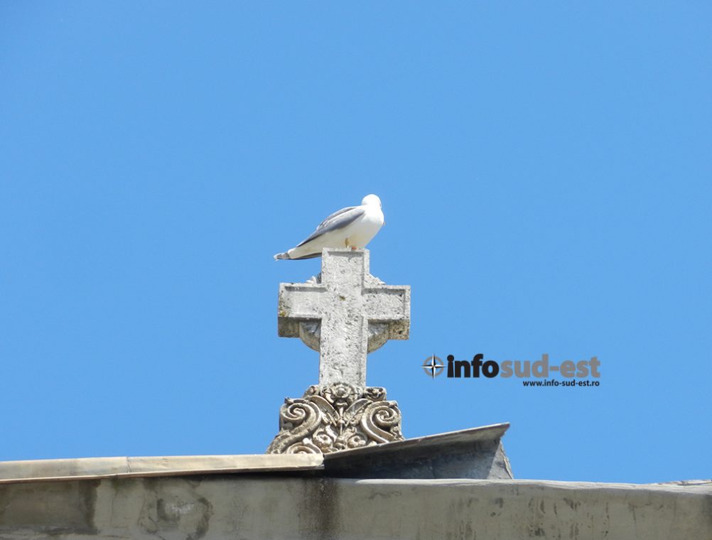 info-sud-est-catedrala15