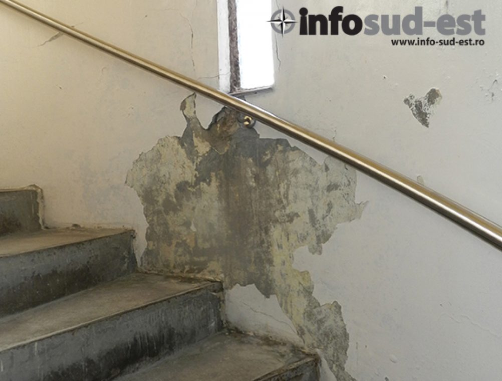 info-sud-est-moschee17