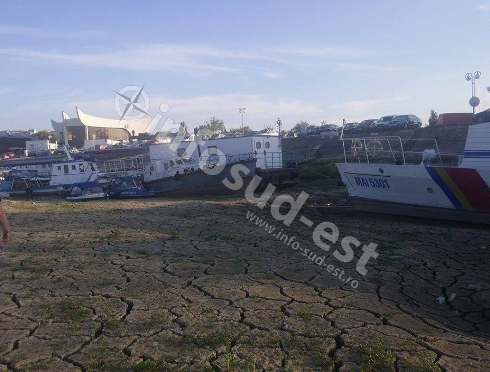 info-sud-est-insula-dunare4