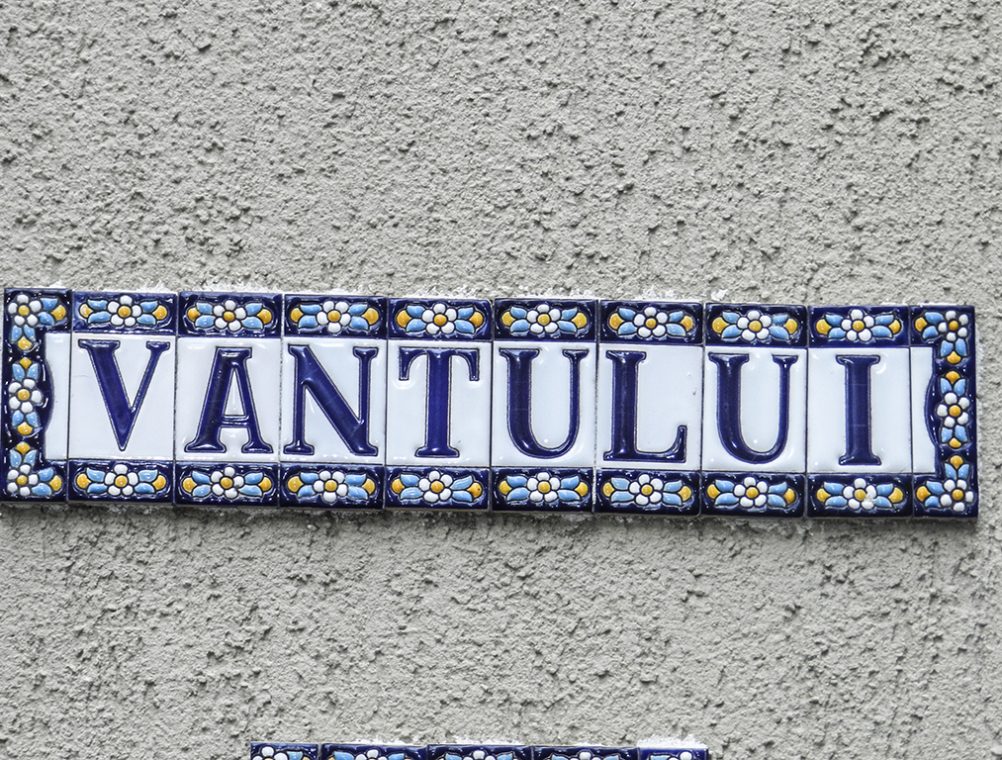 info-sud-est-stradela-vantului4