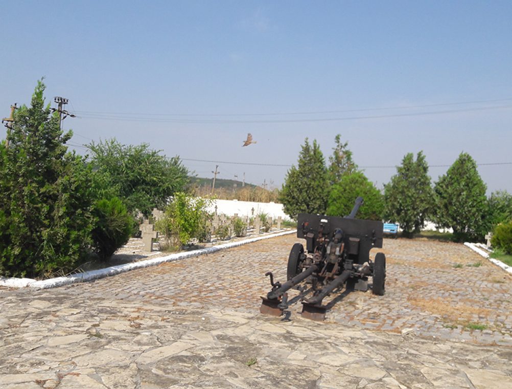 info-sud-est-cruci-cimitir-international-mircea-voda (4)