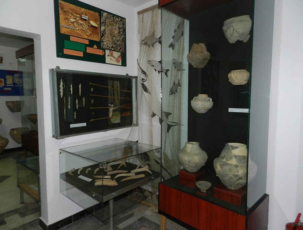 info-sud-est-muzeu-carsium (1)