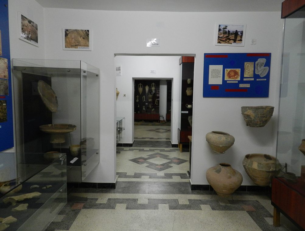 info-sud-est-muzeu-carsium (2)