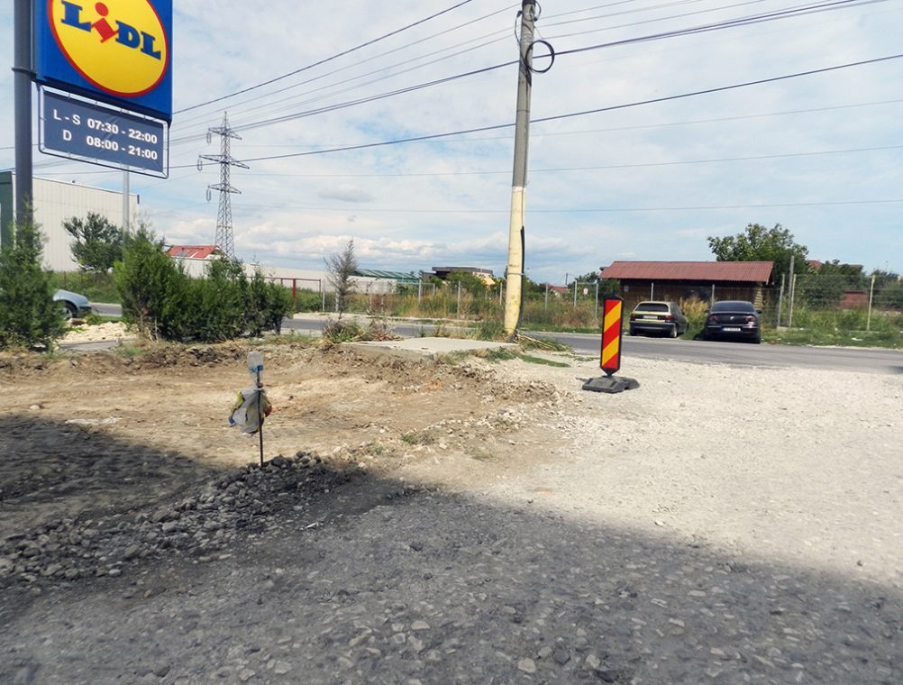 info-sud-est-strada-operei-compozitorilor (4)