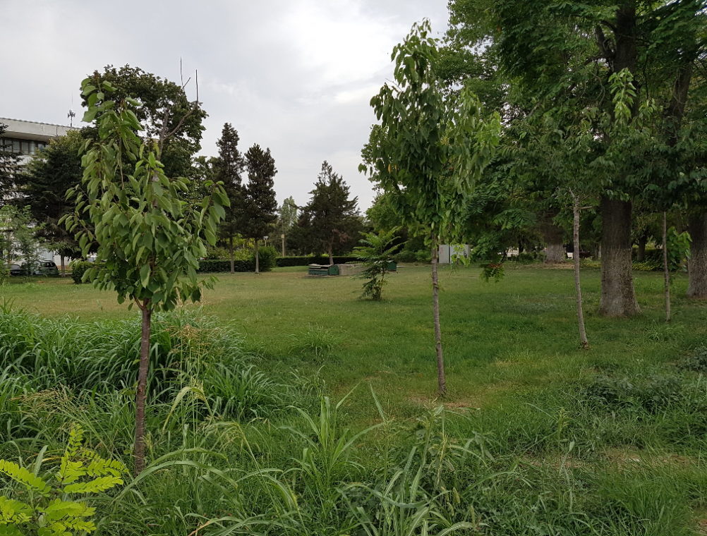 info-sud-est-parcul-arheologic-constanta (3)